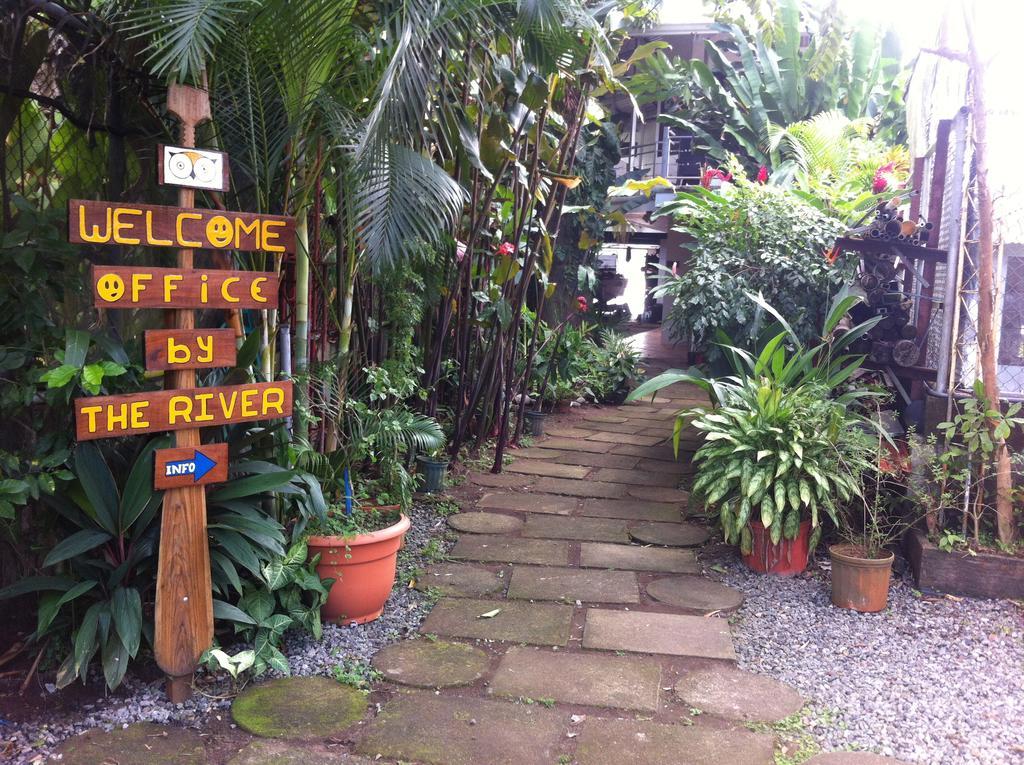 Tortuguero Adventures Guesthouse Exterior photo