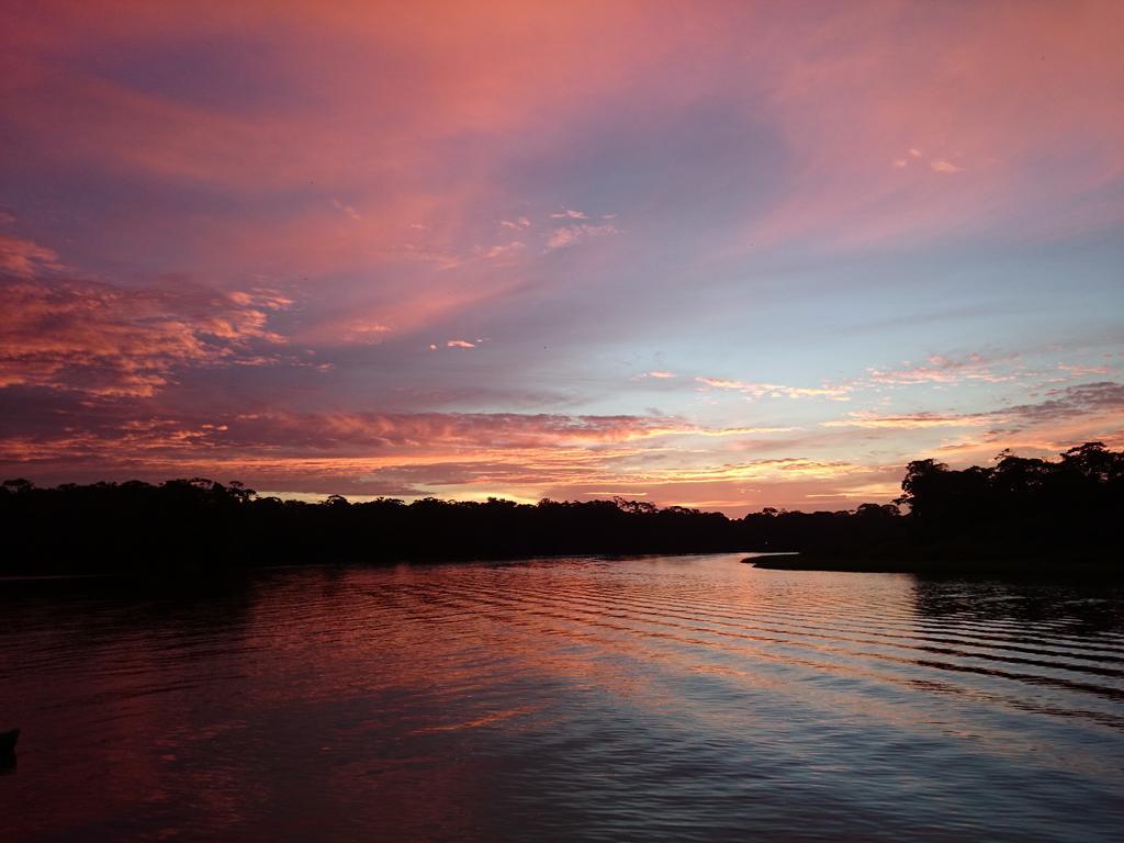 Tortuguero Adventures Guesthouse Exterior photo